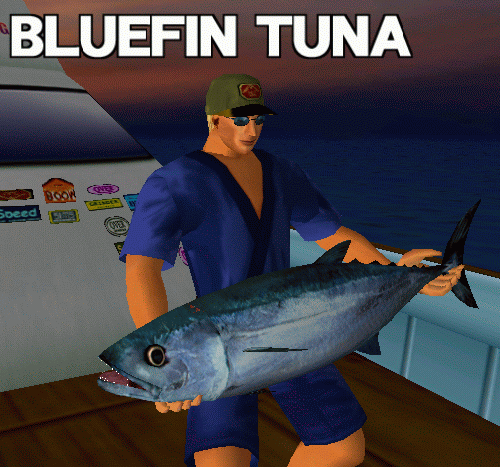 bluefin tuna